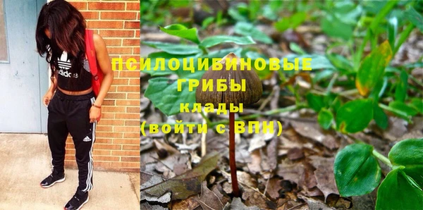 прущие крисы Верея