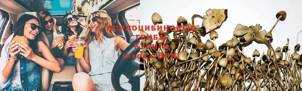 винт Верхний Тагил