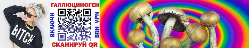 Галлюциногенные грибы Psilocybine cubensis Галич